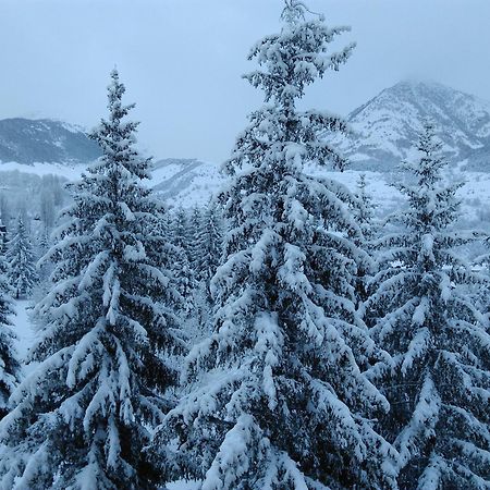Hotel Sno Edelweiss Cerler Eksteriør billede